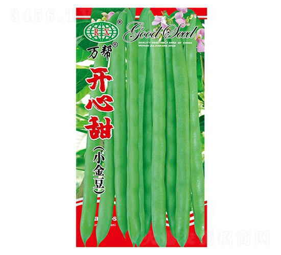 �_�����ļ����N��-�f��N�I(y��)