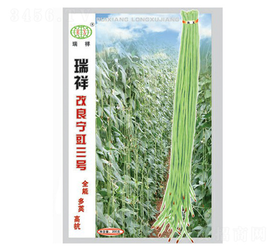 �������������̖�����N��-�f��N�I(y��)