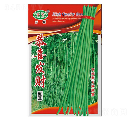 ��ϲ�l(f��)ؔ�����N��-�f��N�I(y��)