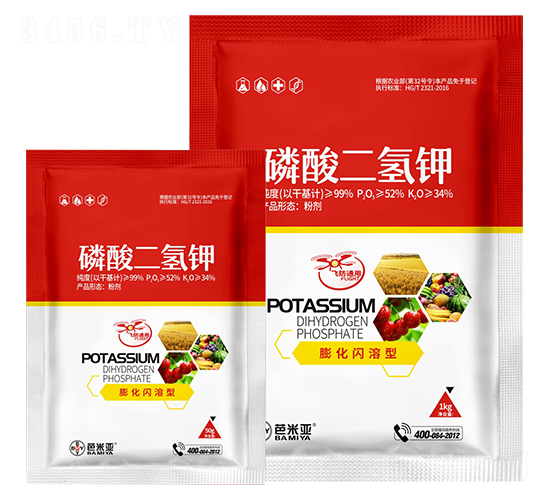 ���W���ʹ�������-���ׁ�