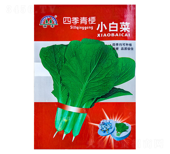 �ļ��๣С�ײ�-�ײ˷N��-���S�N��