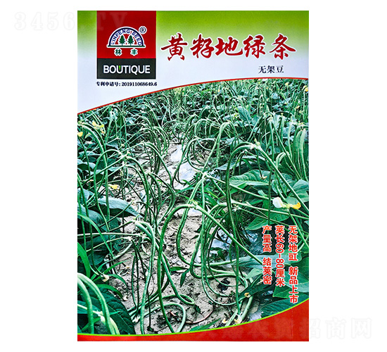 �S�ѵؾG�l-�����N��-���S�N��