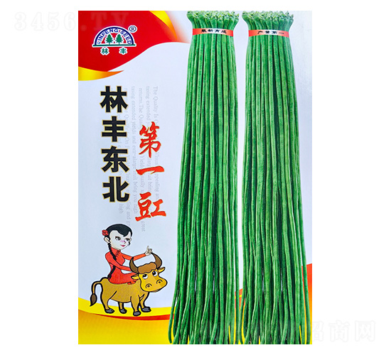 �����N��-���S�N��