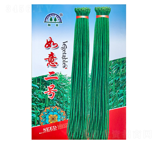 �����̖-�����N��-���S�N��