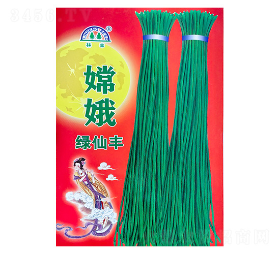 �϶�G���S-�����N��-���S�N��