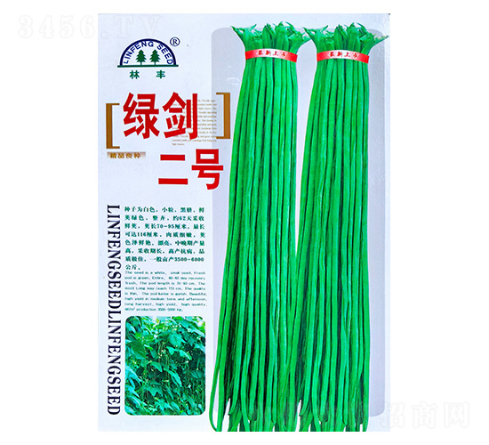 �G����̖-�����N��-���S�N��