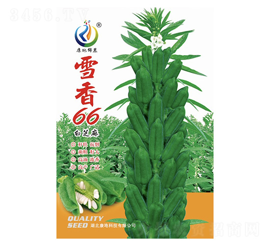 ѩ��66-֥��N��-���ؿƼ�