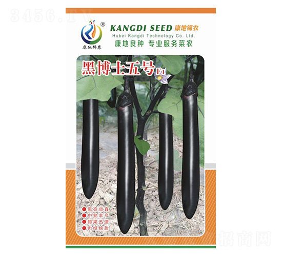 �ڲ�ʿ5̖-���ӷN��-���ؿƼ�