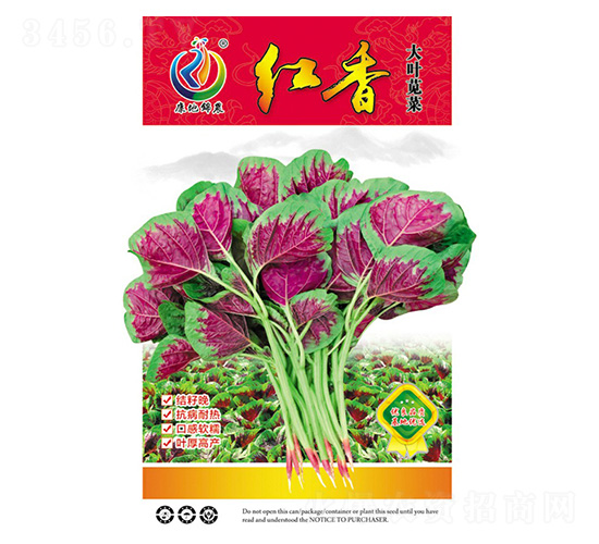 �t��-�{�˷N��-���ؿƼ�