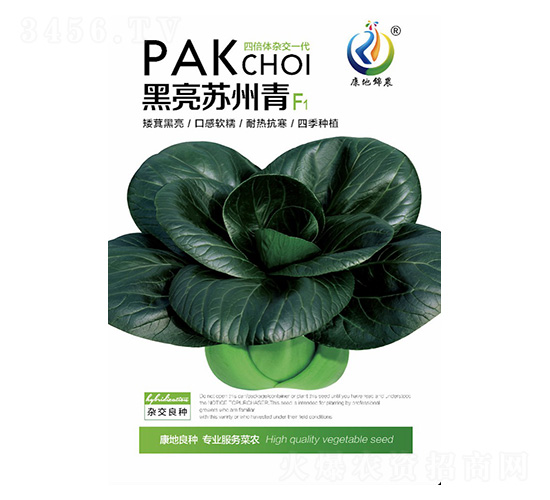 �����K����-�K����N��-���ؿƼ�