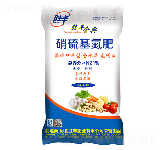 21%���������-���S���-���S�ʘI(y��)