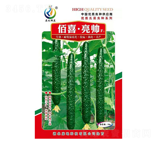 ����-�S�ϷN��-���ؿƼ�