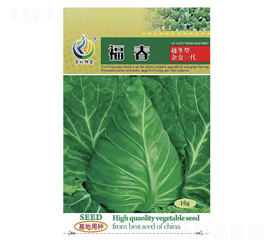 ����-���{(l��n)�N��-���ؿƼ�