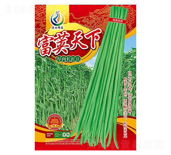 ���v����-�����N��-���ؿƼ�