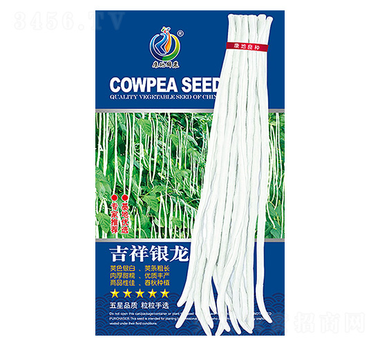 �����y��-�����N��-���ؿƼ�