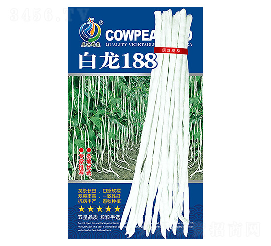 ����188-�����N��-���ؿƼ�