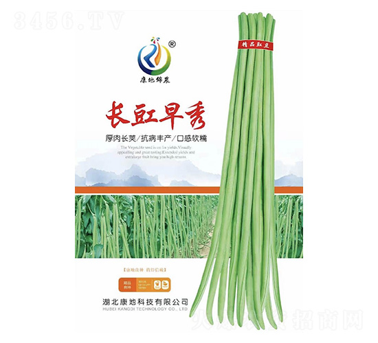 �L������-�����N��-���ؿƼ�