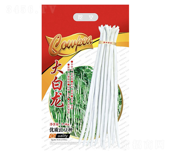 �����-�����N��-���ؿƼ�