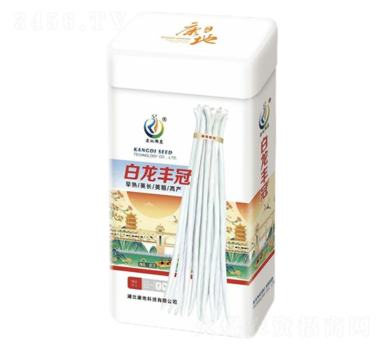 �����S�ڣ��ޣ�-�����N��-���ؿƼ�