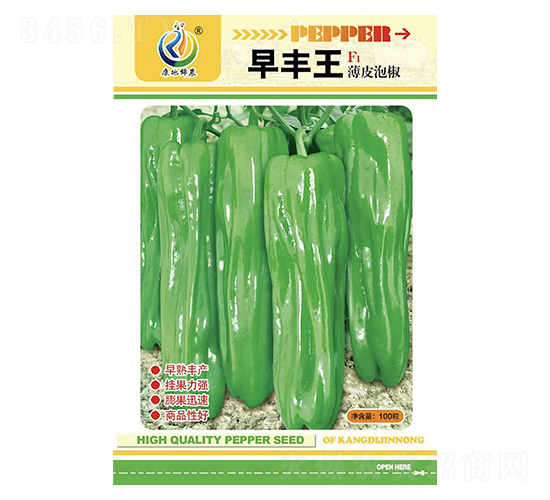 ���S��-�����N��-���ؿƼ�