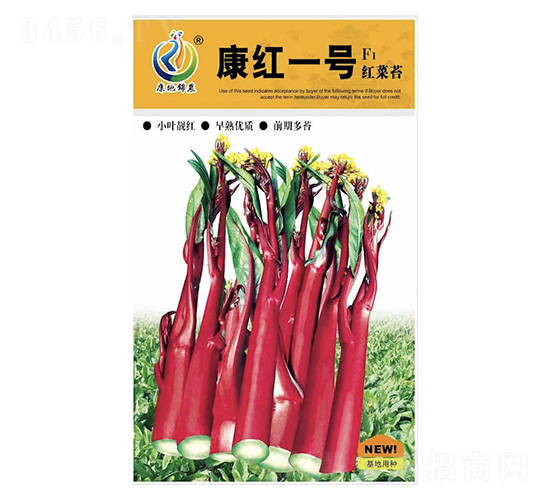 ���t��̖-��޷�N��-���ؿƼ�