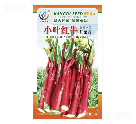 С�~�tţ-��޷�N��-���ؿƼ�