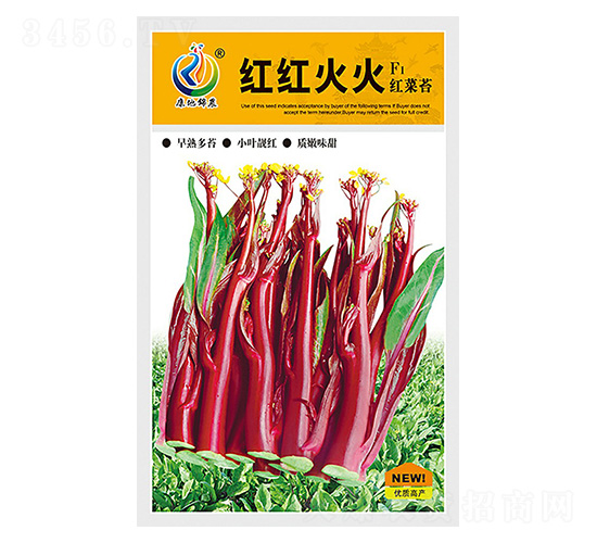 �t�t���-��޷�N��-���ؿƼ�