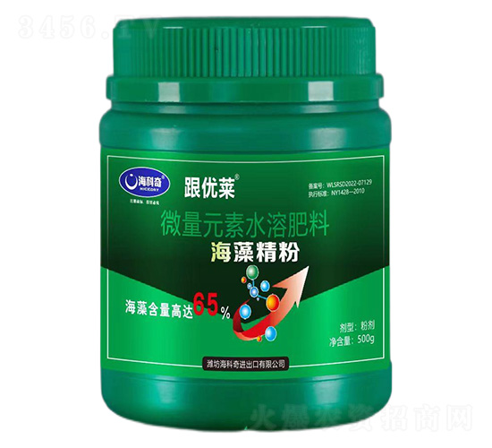 ���徫��-������