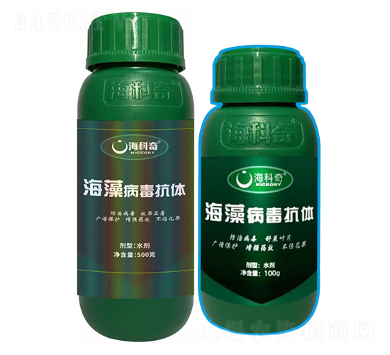 ���岡�����w-������