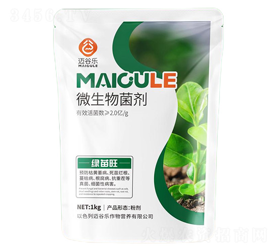 �G����΢�������-�~�Ș�