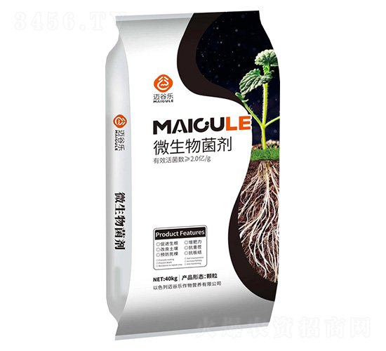 ΢�������-�~�Ș�(l��)