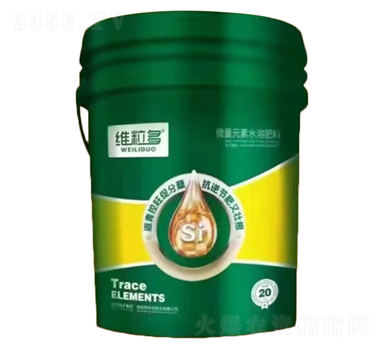 �w�����-�S����-�����ʘI(y��)