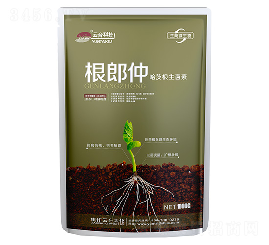 ���ĸ�������-������-���_��