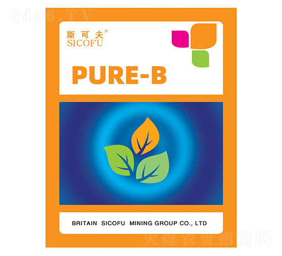 ���ϡ�����-˹�ɷ�-�������