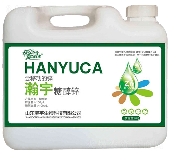 ����Ǵ��\-����S-�������