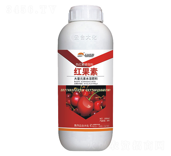 ɫ�t���T��(d��o)��-�t����-���_(t��i)��