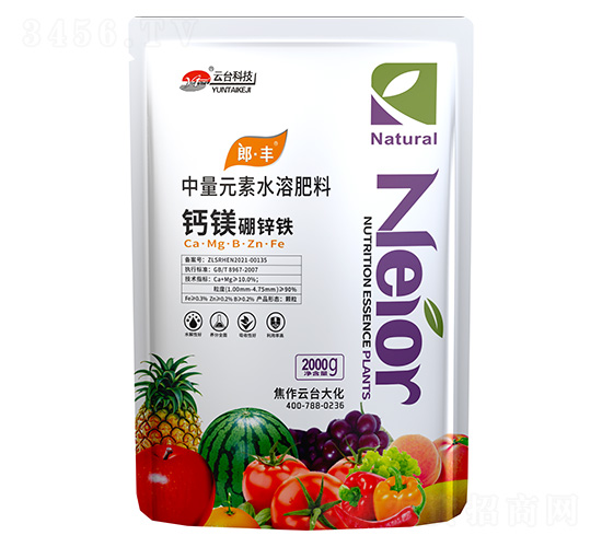 �}�V���\�F2000g-���_(t��i)��