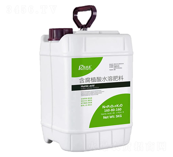 ����ֲ��ˮ�ܷ���160-80-160-���ZԴ