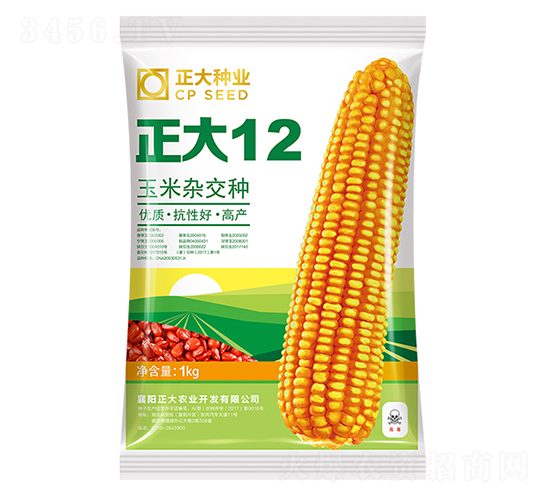 ����12-���׷N��-����N�I(y��)