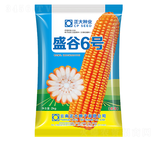 ʢ��6̖(h��o)-���׷N��-����N�I(y��)