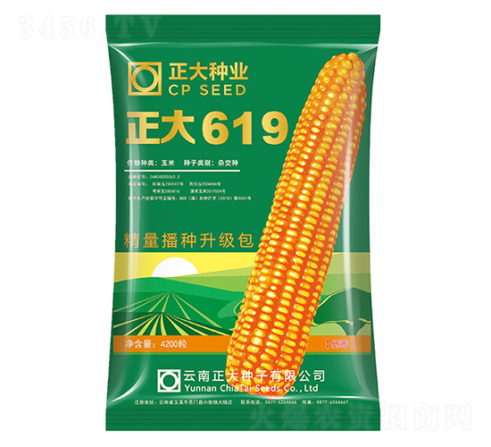 ����619-���׷N��-����N�I(y��)