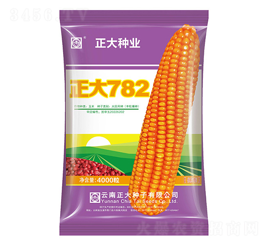 ����782-���׷N��-����N�I(y��)