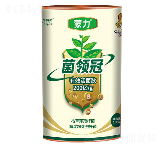 �������I��-�͝��r�I(y��)