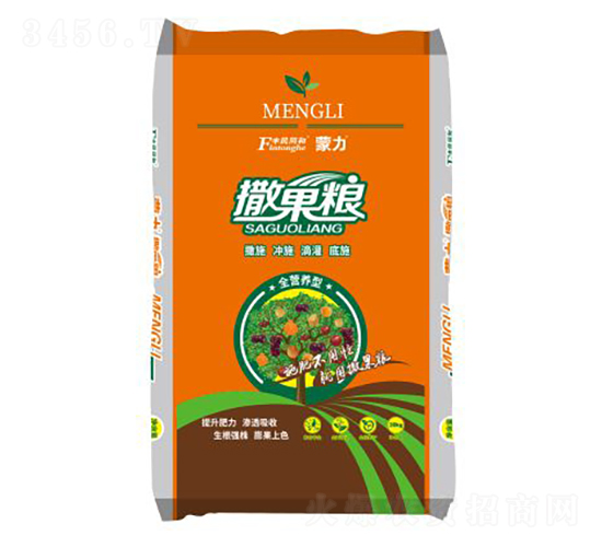 ���������Zȫ�I�B(y��ng)�ͣ��w����-�͝��r(n��ng)�I(y��)