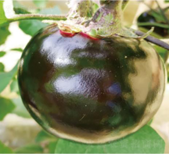 �A��460-���ӷN��-�͝�(r��n)�r(n��ng)�I(y��)