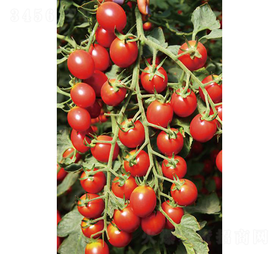 �hķ1507-���ѷN��-�͝�(r��n)�r(n��ng)�I(y��)