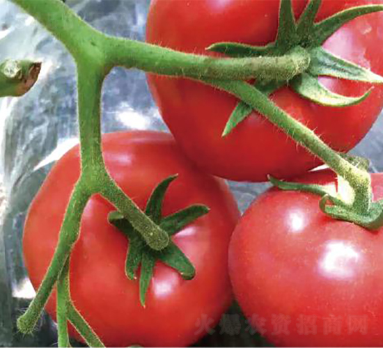 �hķ87-���ѷN��-�͝�(r��n)�r(n��ng)�I(y��)