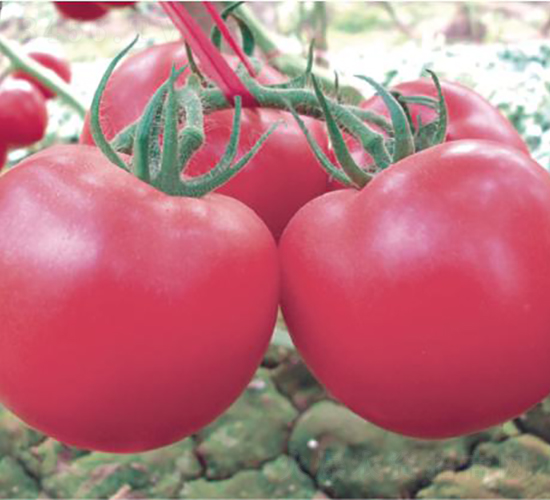 �hķ��̖-���ѷN��-�͝��r(n��ng)�I(y��)