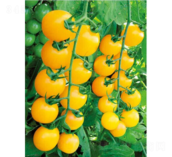 1502-���ѷN��-�͝��r(n��ng)�I(y��)