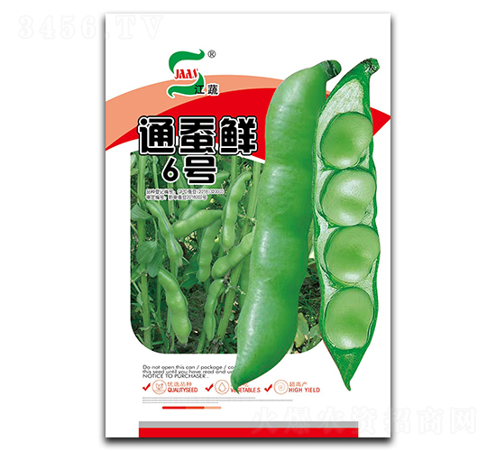 ͨ�Q�r6̖-�Q���N��-���A�N�I(y��)